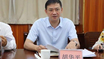 广西壮族自治区政府副秘书长胡华平履新北部湾港集团董事长