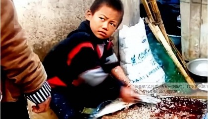 9岁火遍全网，17岁喝百草枯，曾经爆火全网的“杀鱼弟”现状如何