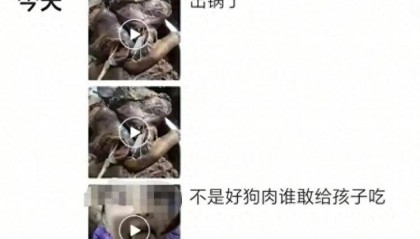 沈阳一店铺老板假借领养名义烹食流浪狗,警方:正在研讨处置