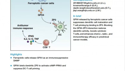 重磅发现！上海专家研究成果荣登Cell，揭示肿瘤免疫治疗新靶点