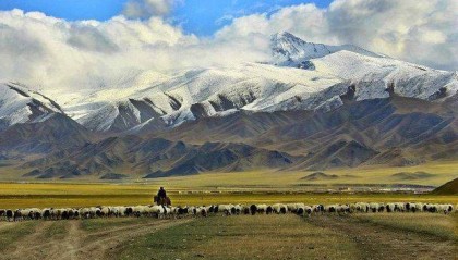 报团去乌鲁木齐六日游多少钱人民币？轻松！新疆旅游消费高嘛？