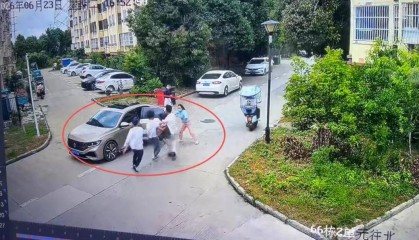幼儿园蹲守，家门口动手，5岁女童被当街抢走