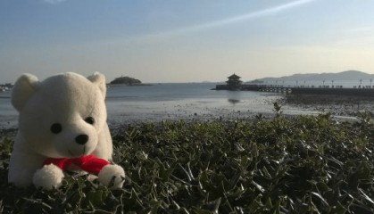 报团去乌鲁木齐八日游多少钱人民币？省钱！新疆地接社联系方式？