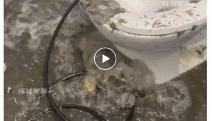 美军最大航母“福特”号停靠希腊，650个厕所坏了近9成，舰员上厕所排队要四五十分钟