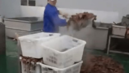 带货毛肚翻车 千万粉丝网红鹿哈或需赔偿消费者26.9亿元