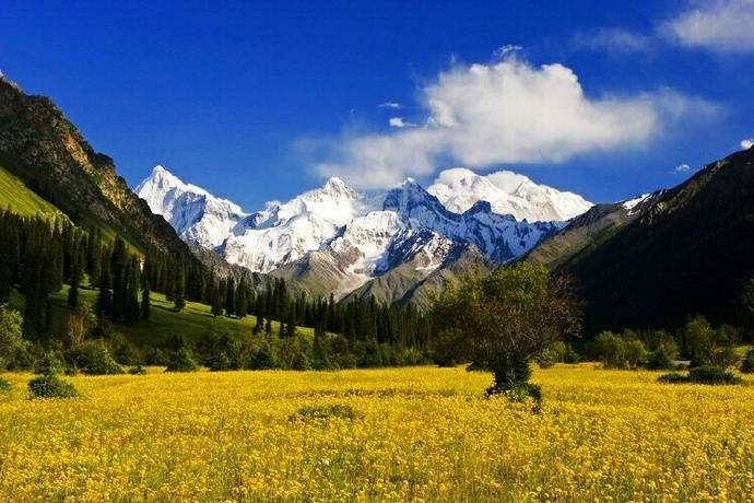 报团去乌鲁木齐旅游9天大概多少人民币？省心！去新疆五千够吗？