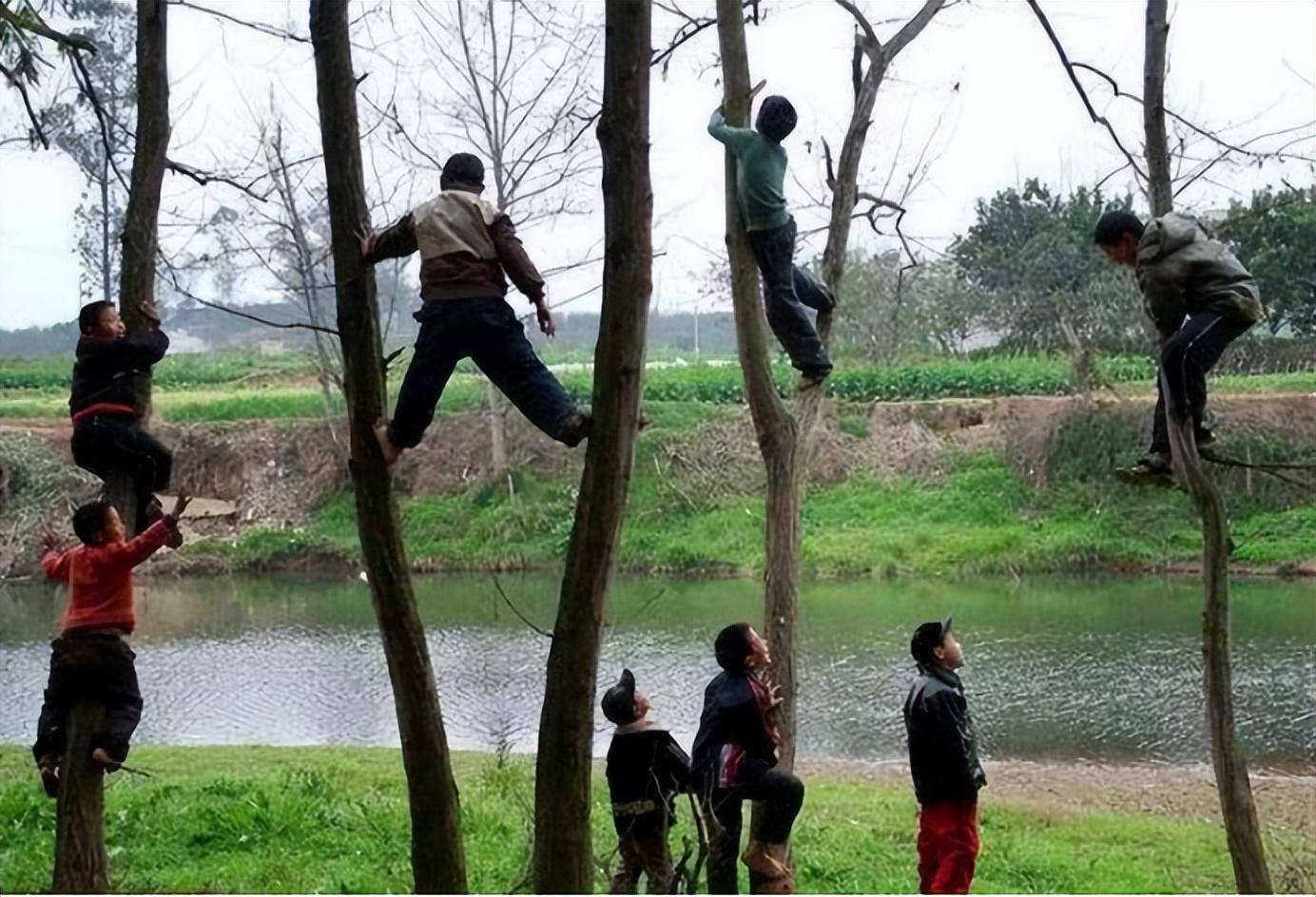 9岁火遍全网，17岁喝百草枯，曾经爆火全网的“杀鱼弟”现状如何