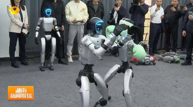 湖南省省长、浙江省省长，一同观看机器人表演