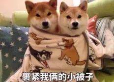 降温超12℃!宿州将一夜入冬