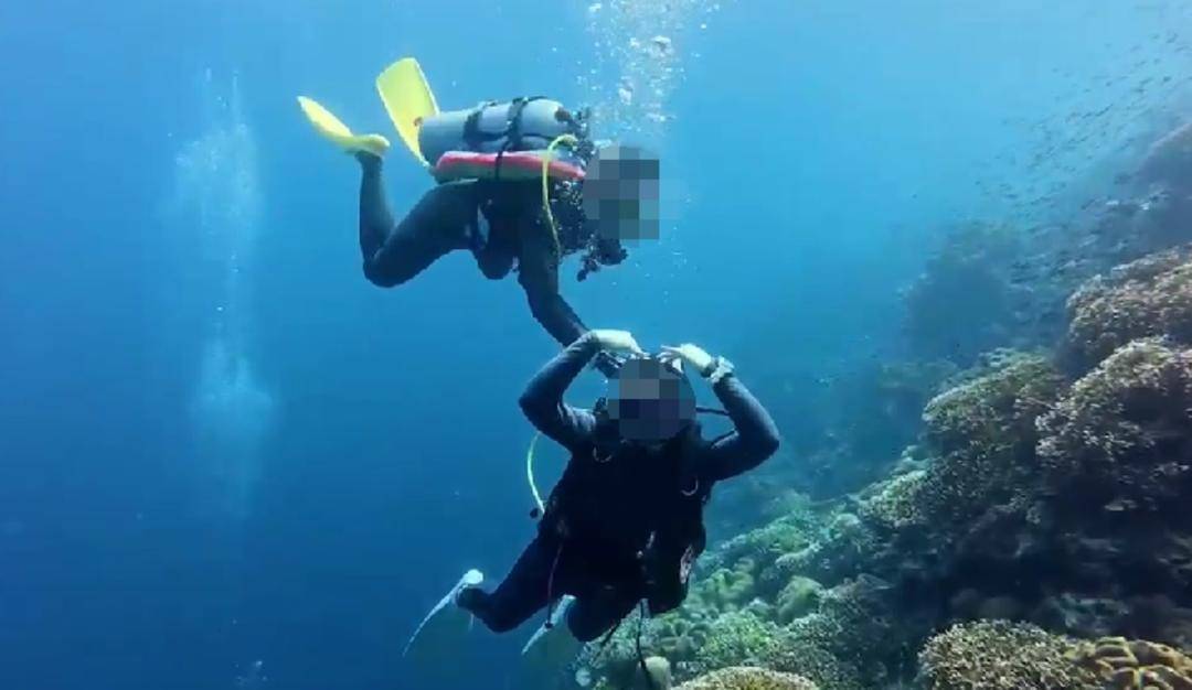 紫牛热点|网传一潜水员水下关闭他人气瓶?国际专业潜水教练协会回应:正配合有关部门调查核实