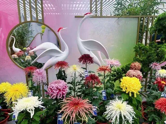 “冻”真格了！北京下周最低温降至冰点下；年底，北京将有八大火车站！北京5家医院试点“预住院”丨朝闻北京