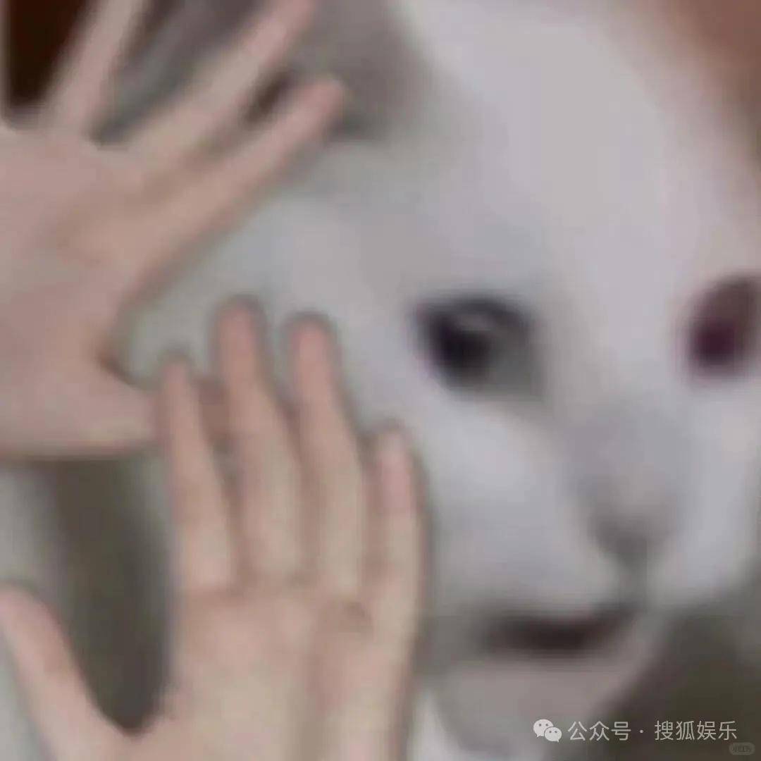 又一对魔幻的圈内姐弟恋曝光!这组合有点太超前了......