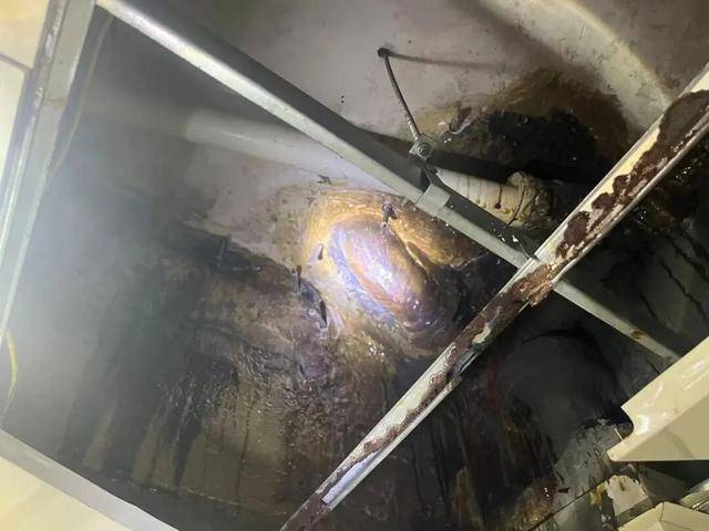 “每天回家我都想吐!”整整3年,因顶楼住户一个操作,广东一小区整栋楼业主直呼“苦不堪言”,多方回应