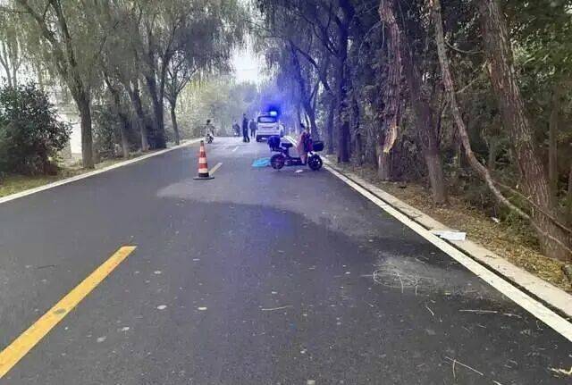 女教师骑车上班“撞树”身亡,交警认定其超速!法院一审、二审反转!家属最终获赔76万元