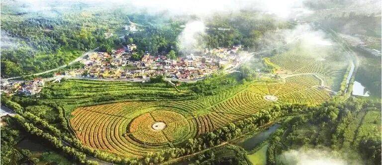 黔货出山入粤来——中山·六盘水东西部协作扩消费新探索