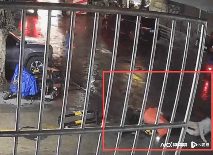 东莞无牌共享电动自行车失控撞死路人,投放车辆企业被追责