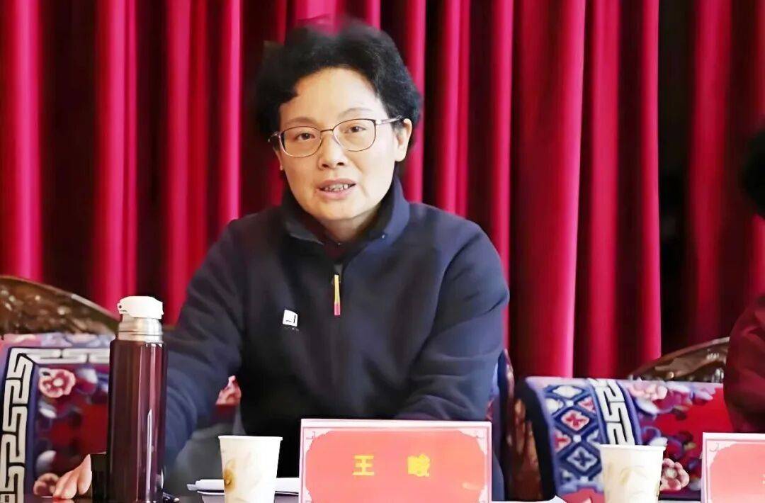 严重违纪违法!西藏自治区人大常委会原党组副书记、副主任王峻被“双开”